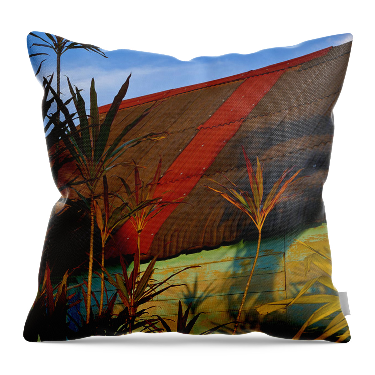 It's My Party Throw Pillow featuring the photograph It's My Party by Skip Hunt