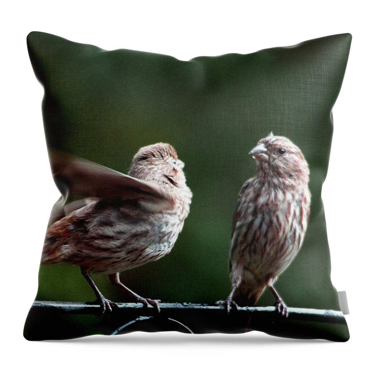 Birds Throw Pillow featuring the photograph It's My Turn by Trina Ansel