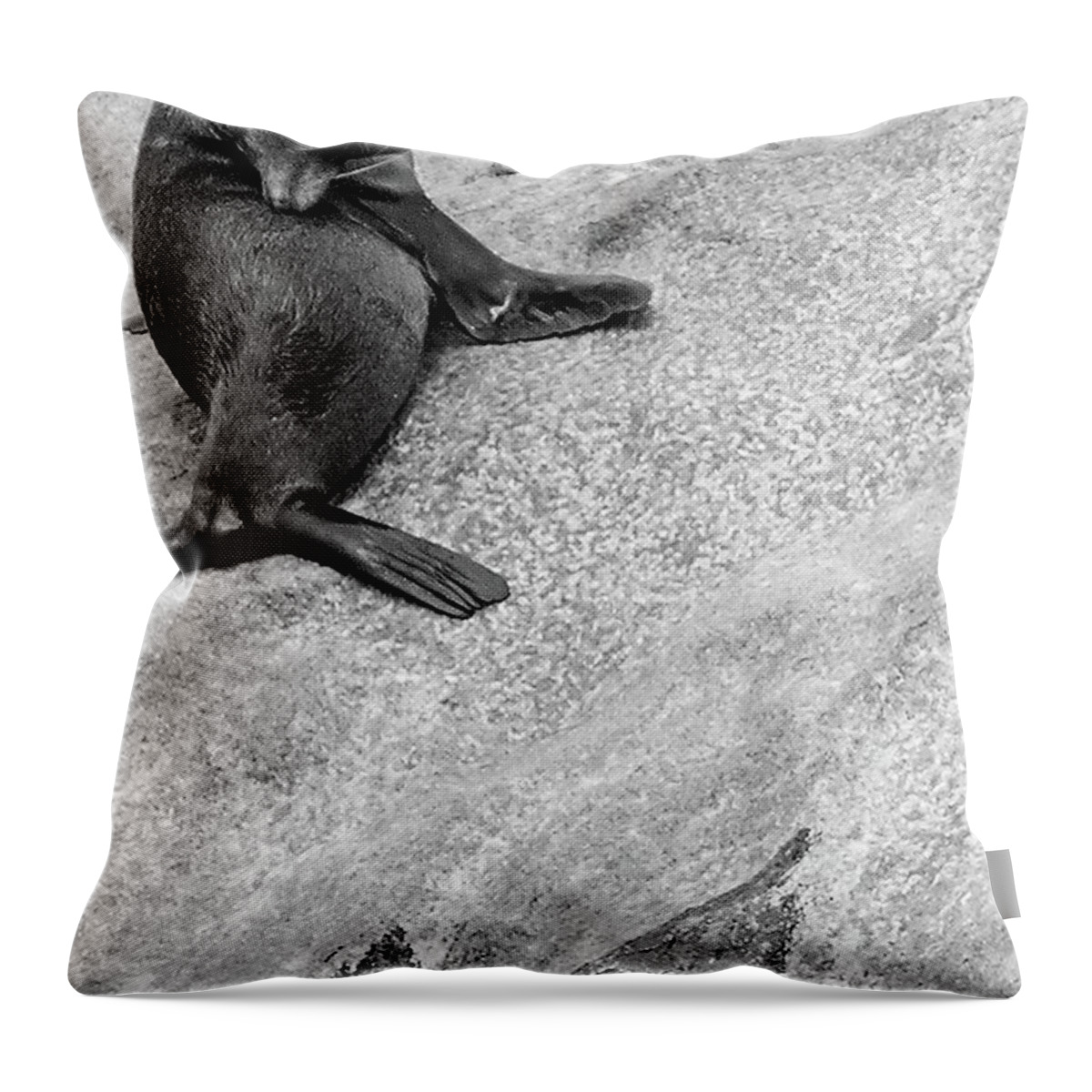 Digital Black And White Photo Throw Pillow featuring the photograph It's This Itch BW by Tim Richards