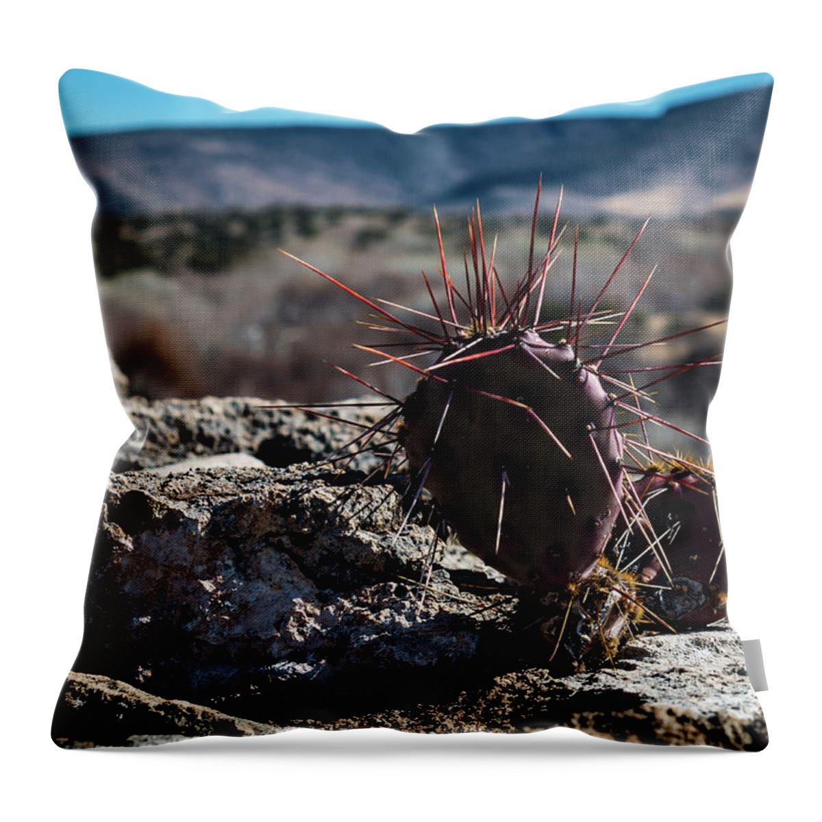 Prickly Throw Pillow featuring the photograph Itty Bitty Prickly Pear Cactus by Susie Weaver