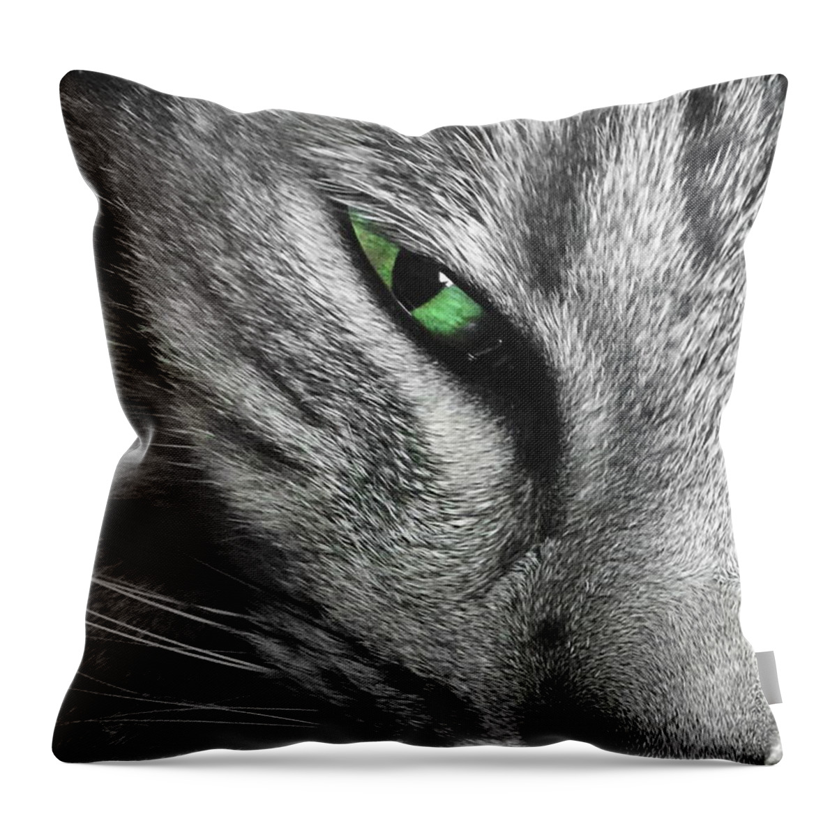 Contest Winner Throw Pillow featuring the photograph I've Got My Eye on You by Jenny Revitz Soper