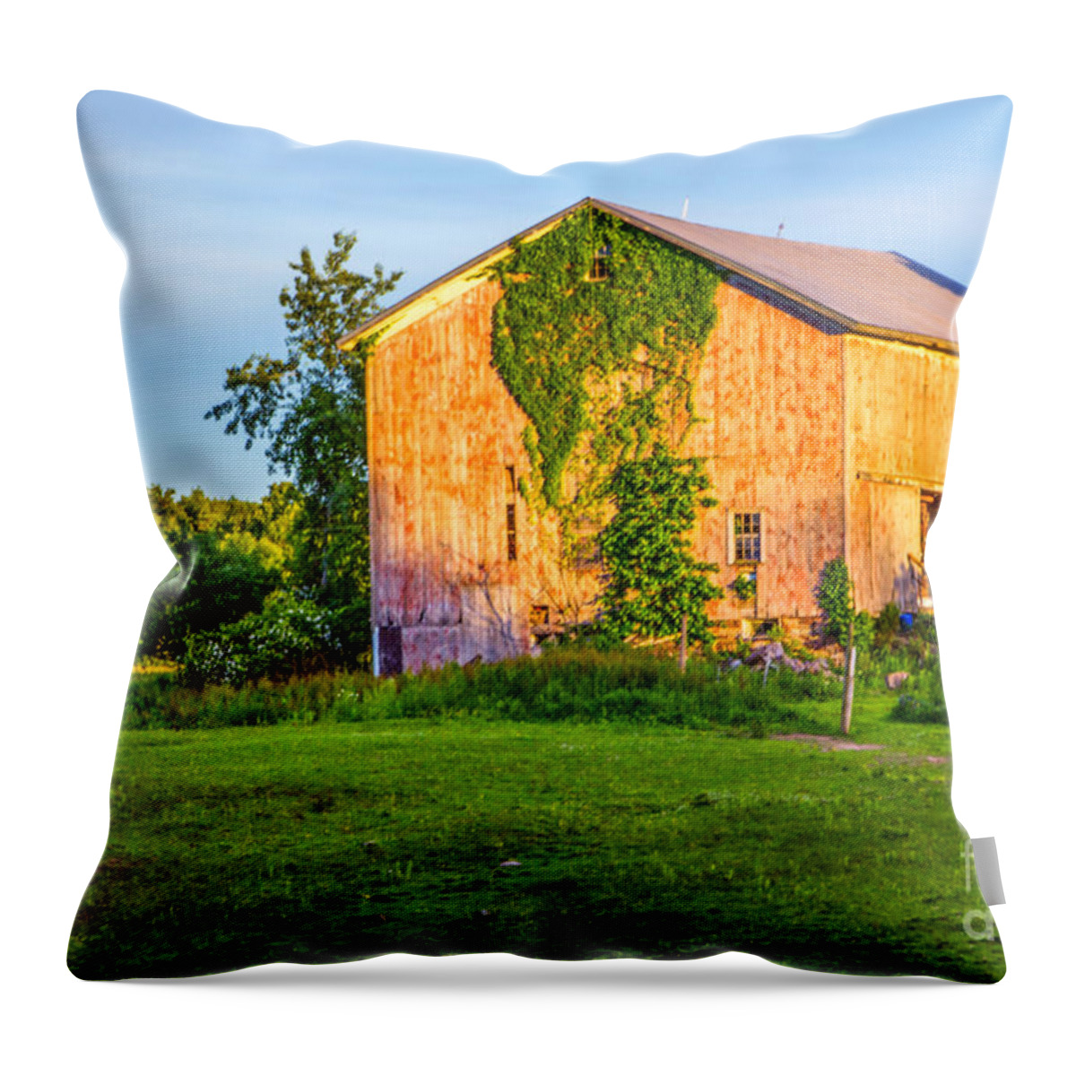 Barn Throw Pillow featuring the photograph Ivy League Barn by Rod Best