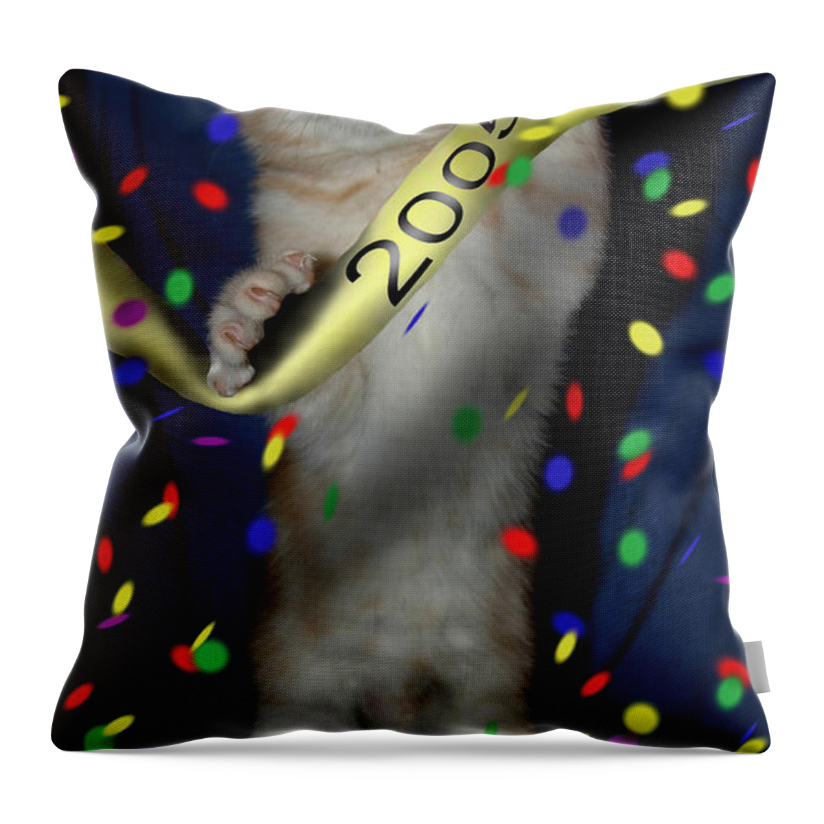 Cat Throw Pillow featuring the digital art January 2005 by Robert Morin