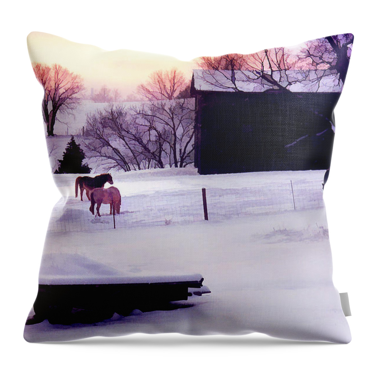 Landscape Throw Pillow featuring the photograph January at Jackson's by Sam Davis Johnson