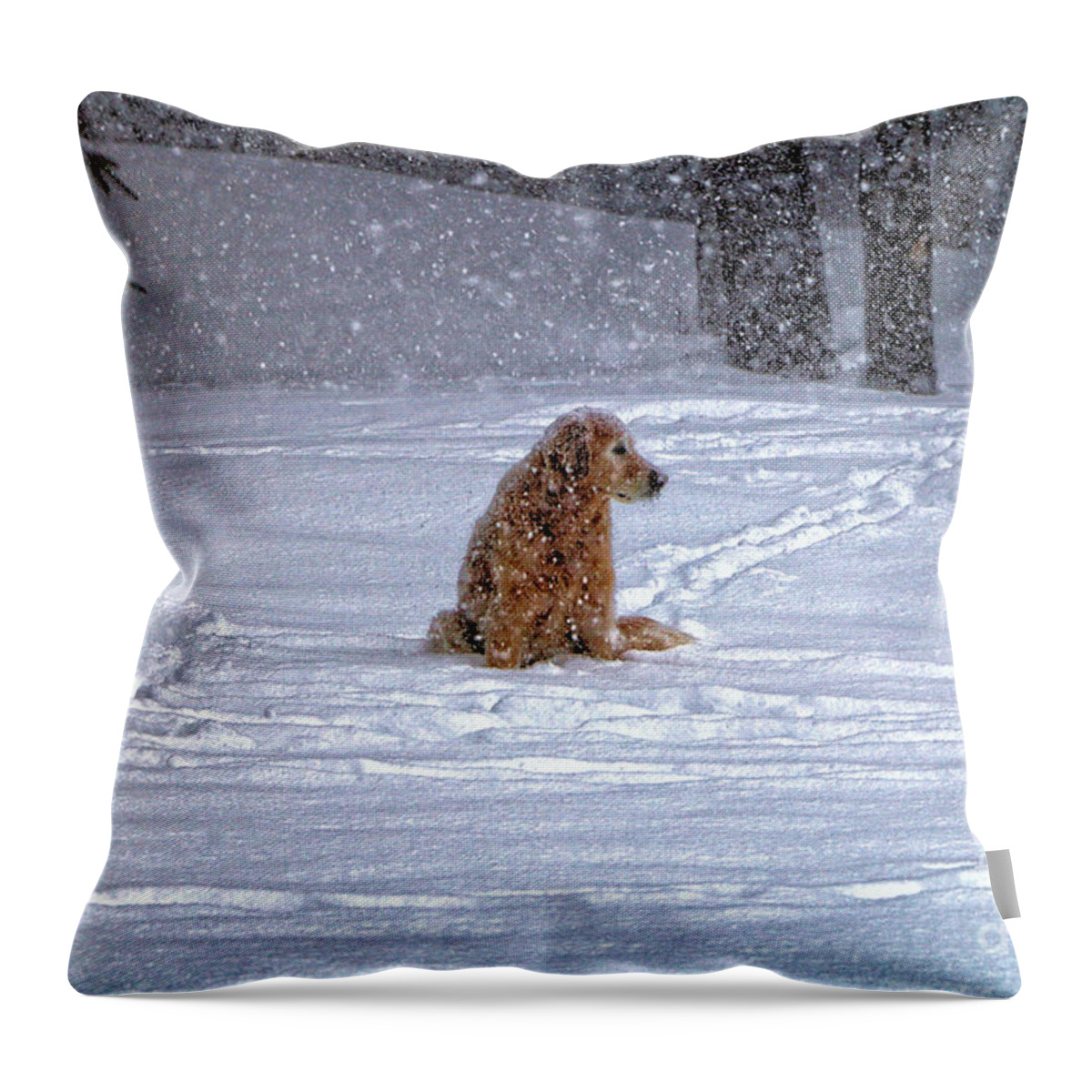 Blizzard Throw Pillow featuring the photograph January Blizzard by Elizabeth Dow