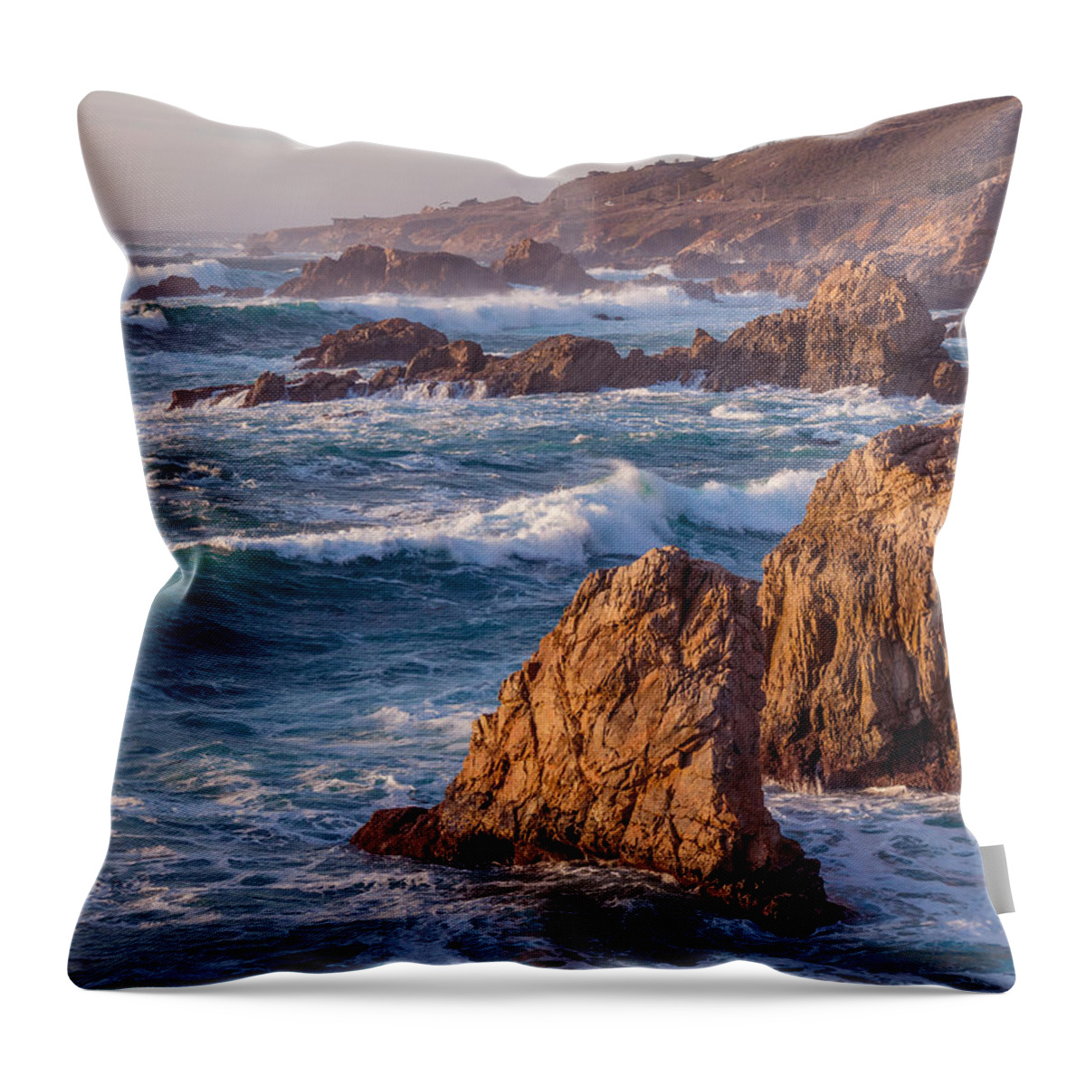 January Throw Pillow featuring the photograph January in Big Sur by Derek Dean