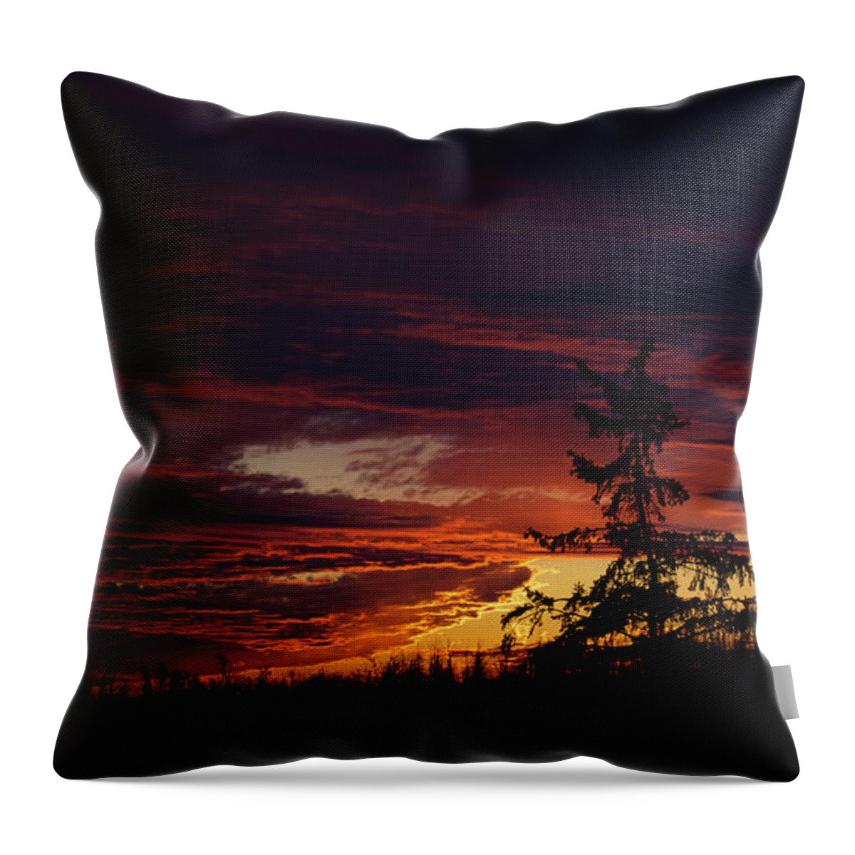 Sunrise Throw Pillow featuring the photograph January Sunrise by Ellery Russell