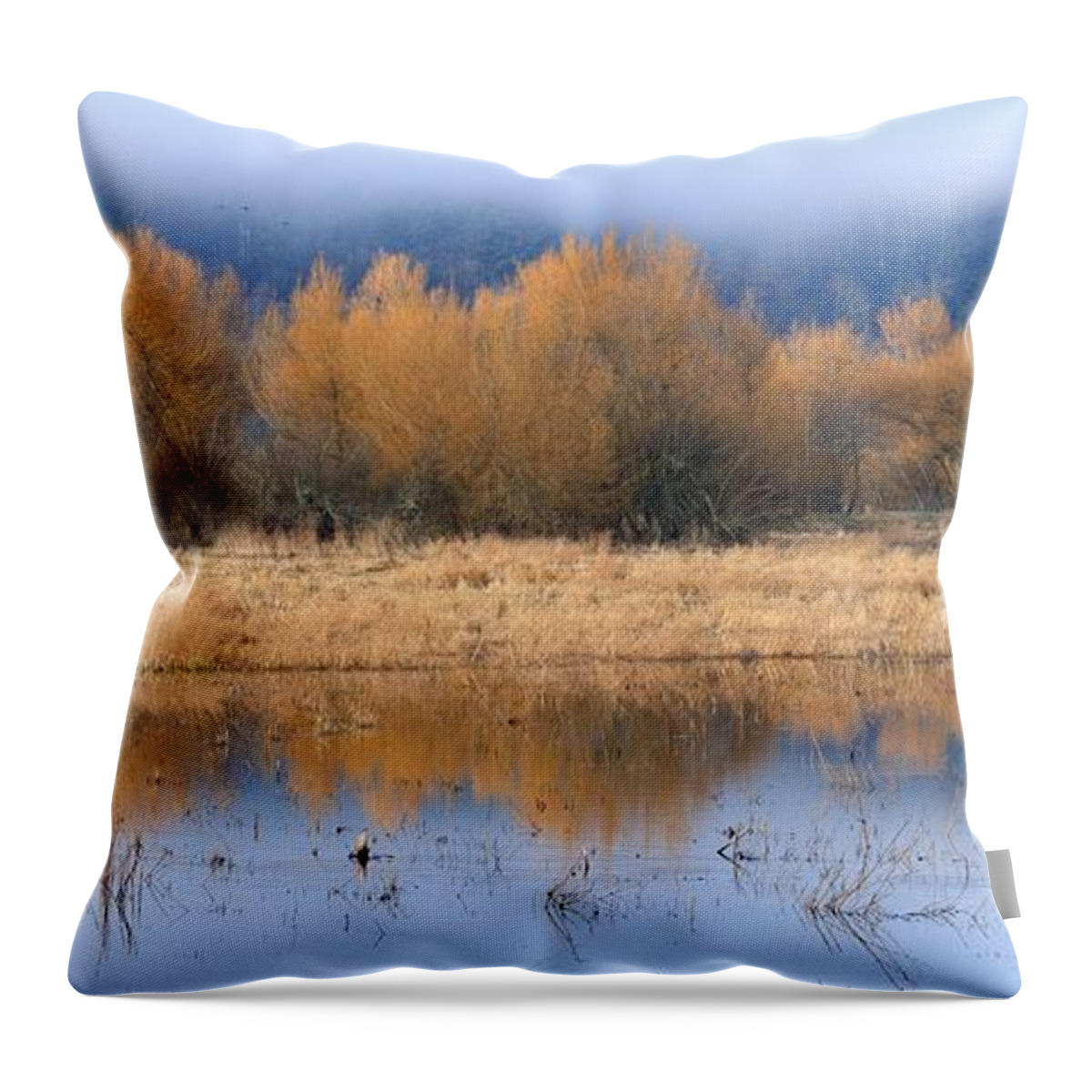 Promise Throw Pillow featuring the photograph January's Promise by I'ina Van Lawick