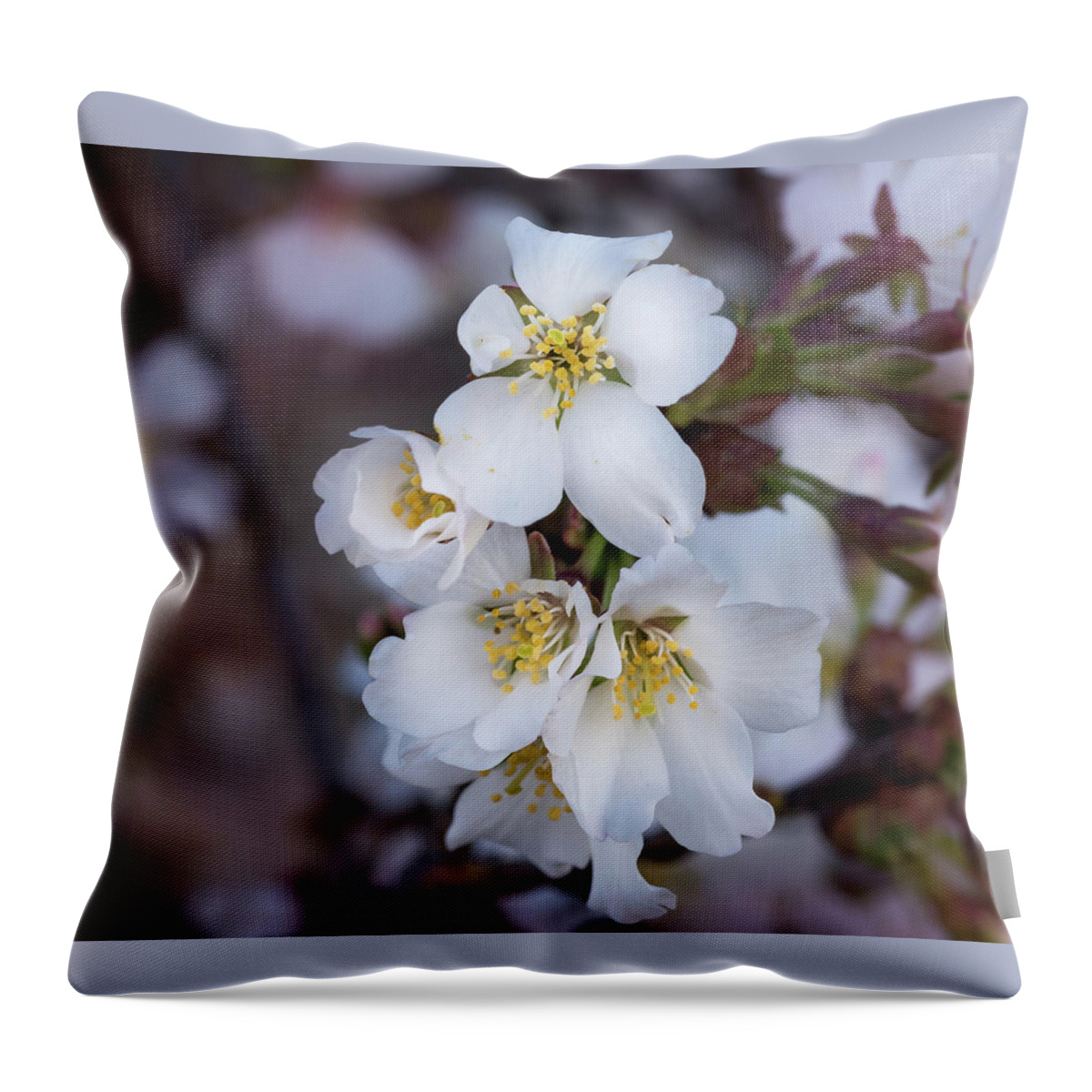 Japanese Throw Pillow featuring the photograph Japanese Cherry Blooms by Cynthia Wolfe