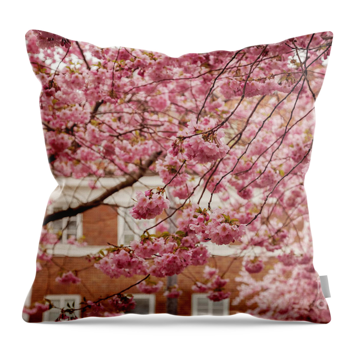 Pink Throw Pillow featuring the photograph Japanese cherry trees in a town by Sophie McAulay