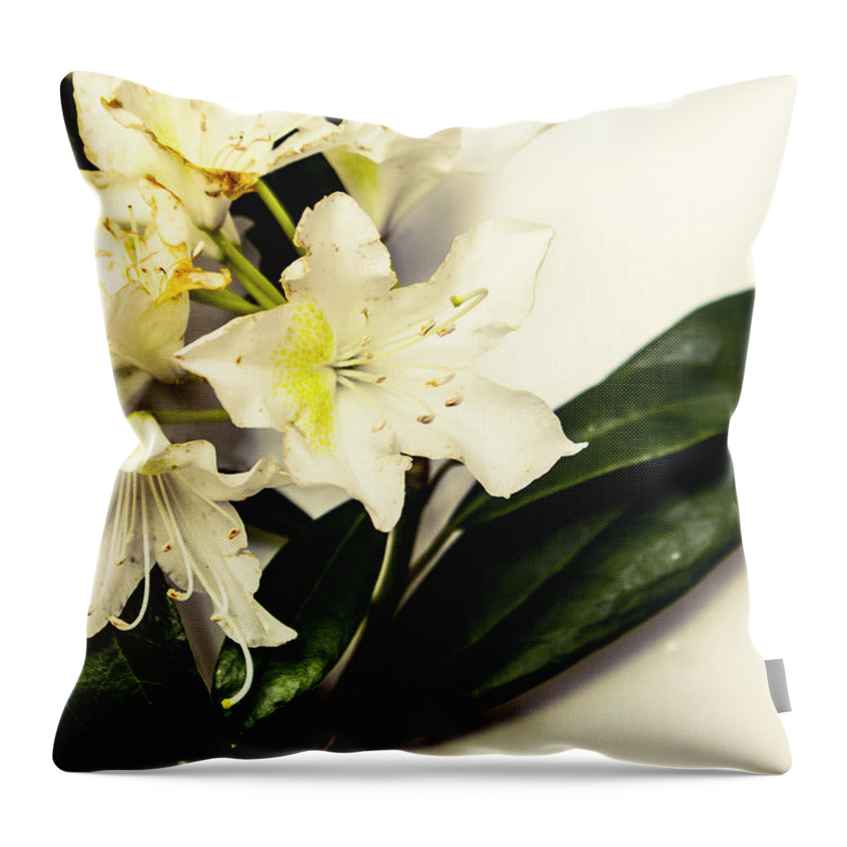 Japanese Throw Pillow featuring the photograph Japanese flower art by Jorgo Photography