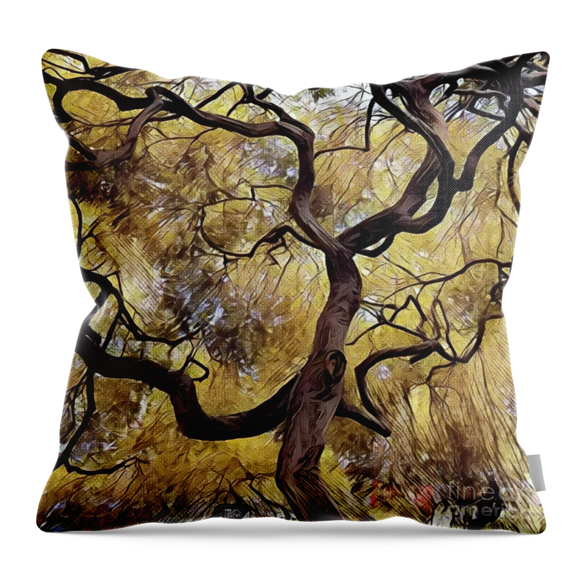 Tree Throw Pillow featuring the photograph Japanese Maple by Jodie Marie Anne Richardson Traugott     aka jm-ART