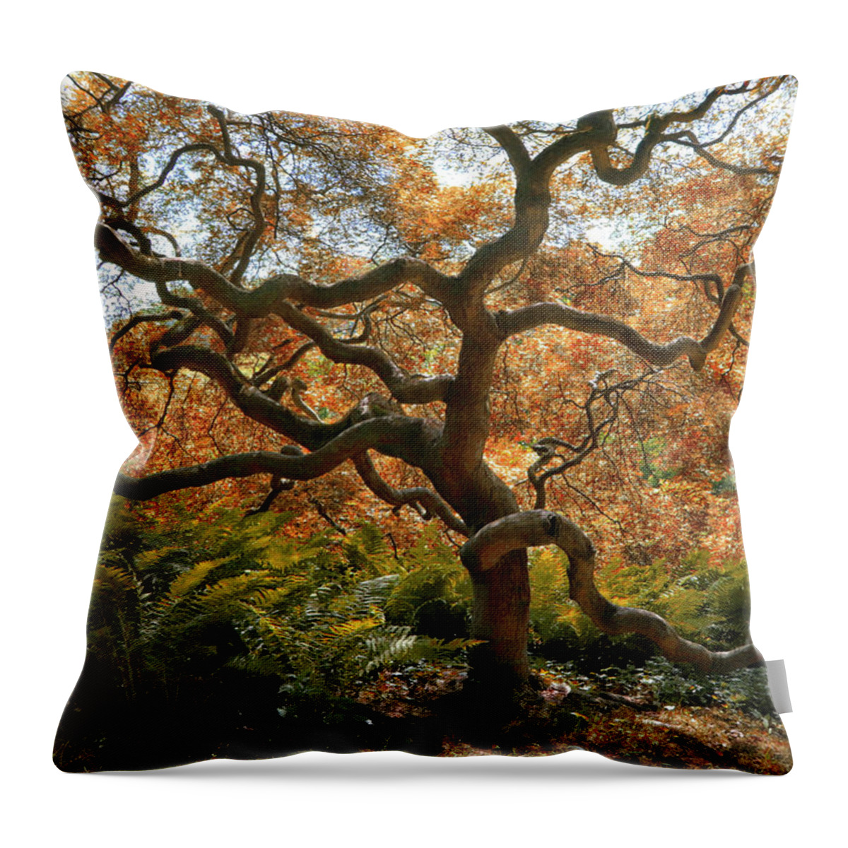 Photo Designs By Suzanne Stout Throw Pillow featuring the photograph Japanese Maple Tree by Suzanne Stout
