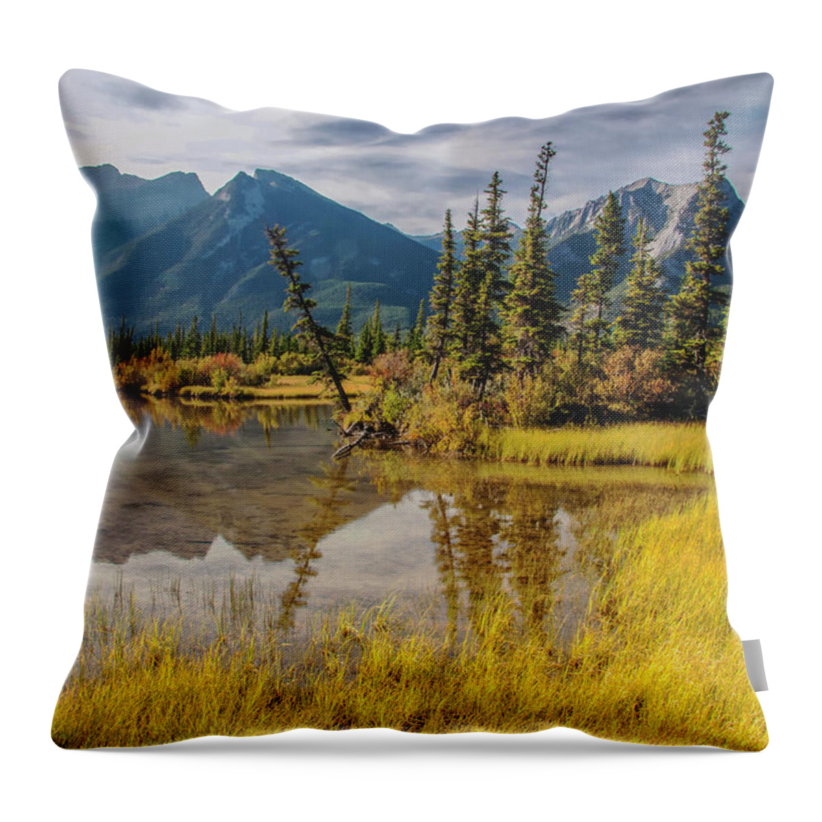 Jasper National Park Throw Pillow featuring the photograph Jasper Wetlands 2009 02 by Jim Dollar