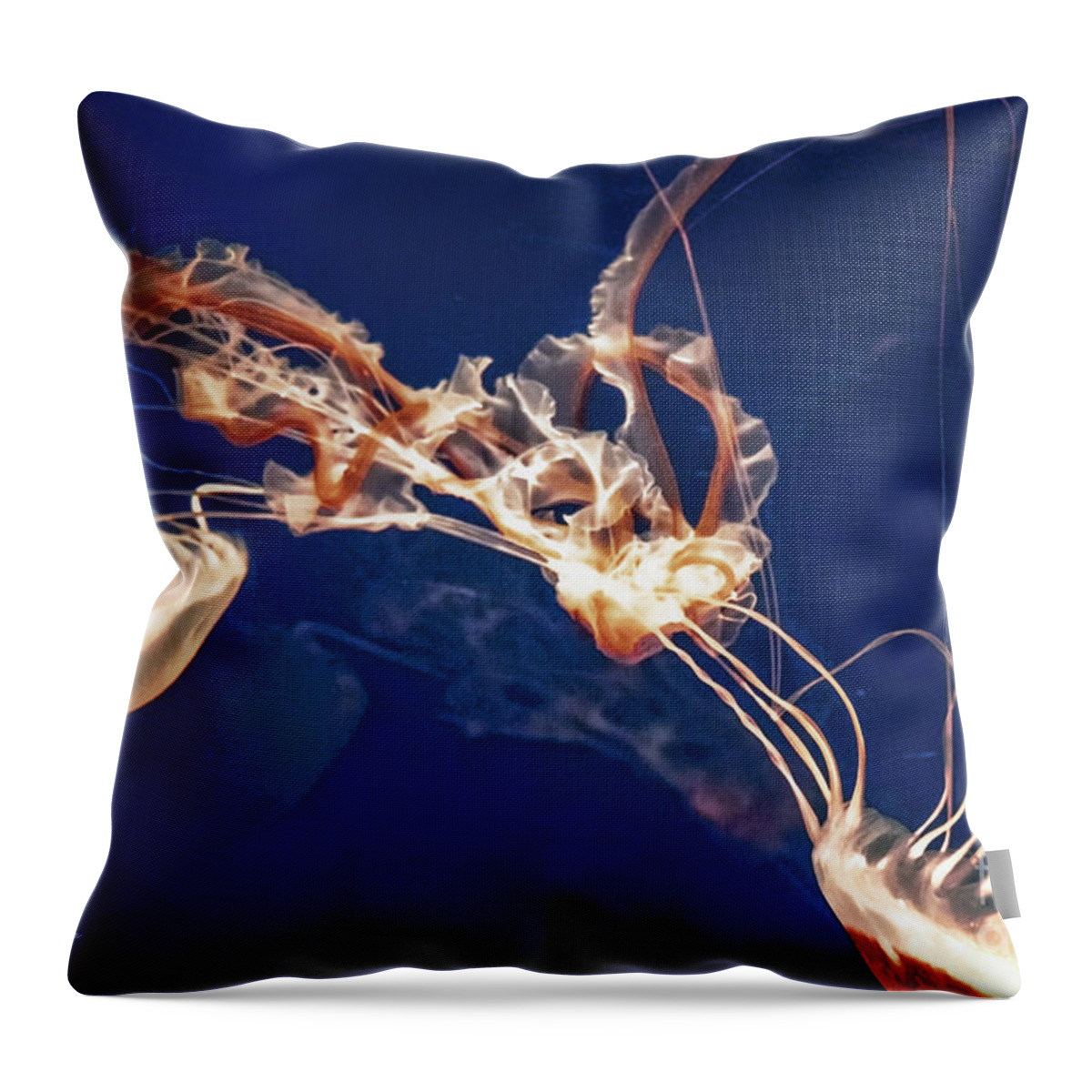 Jelly Fish Throw Pillow featuring the digital art Jelly Fish Web by Georgianne Giese