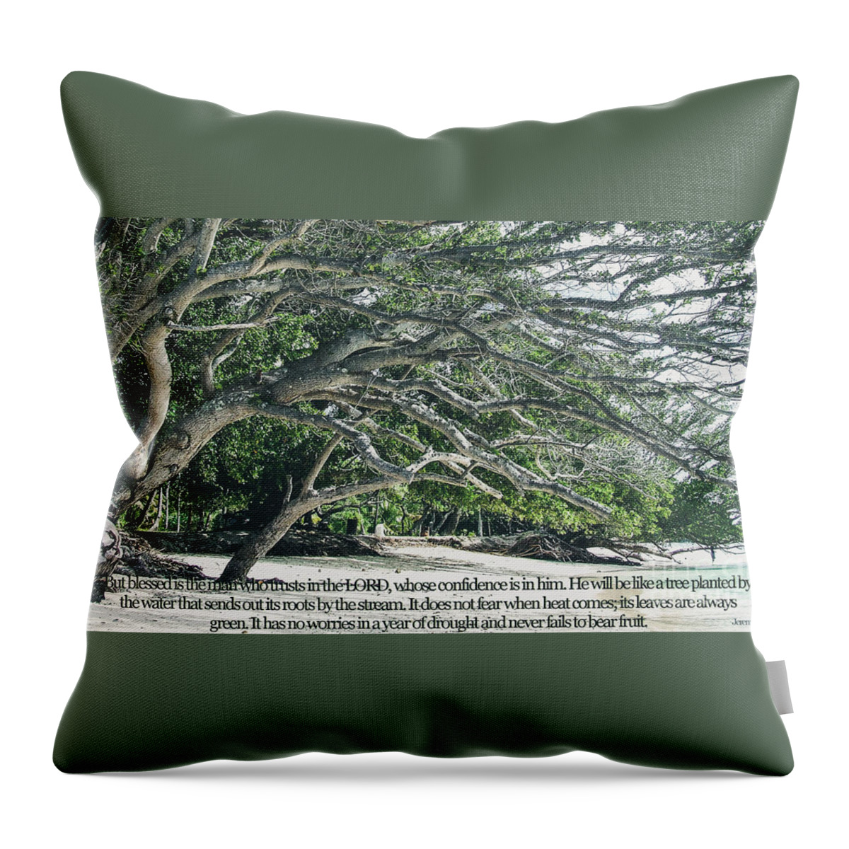 Jeremiah Throw Pillow featuring the photograph Jeremiah 17 7 8 by Andrea Anderegg