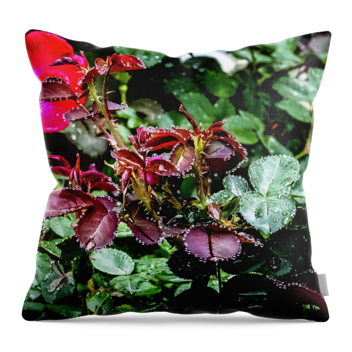 Raindrops Throw Pillow featuring the digital art Jewels of the Rain by Ed Stines
