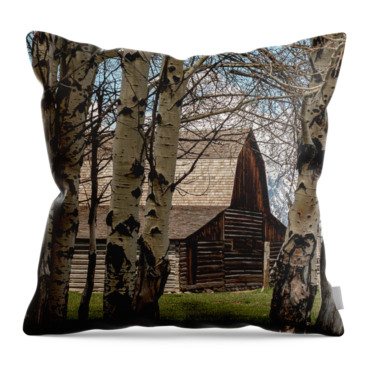 Barn Throw Pillow featuring the photograph John and Bartha Moultan Homestead Barn by Pam Holdsworth