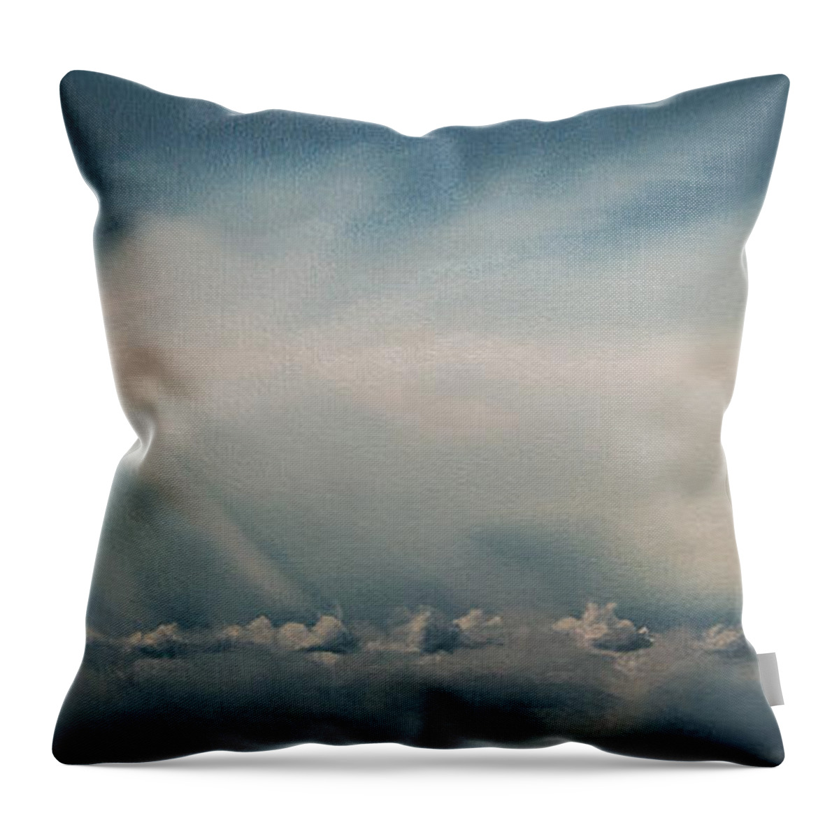 Fly Throw Pillow featuring the painting Johnathan's Dream by Jerome White