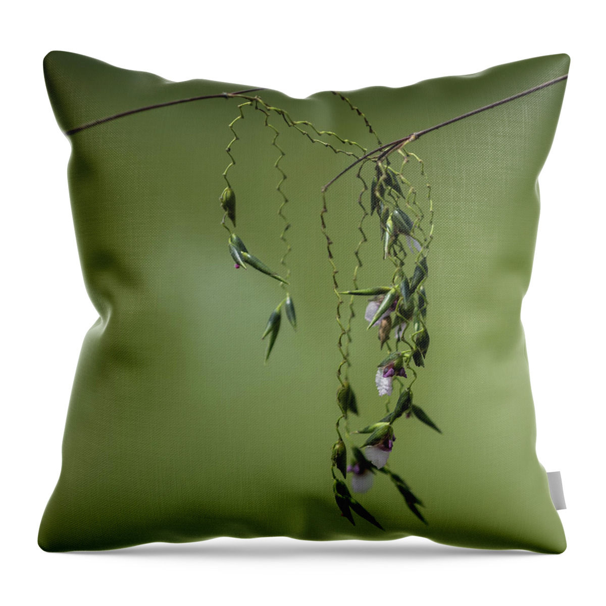 Singapore Throw Pillow featuring the photograph Joined at the hip by Jocelyn Kahawai