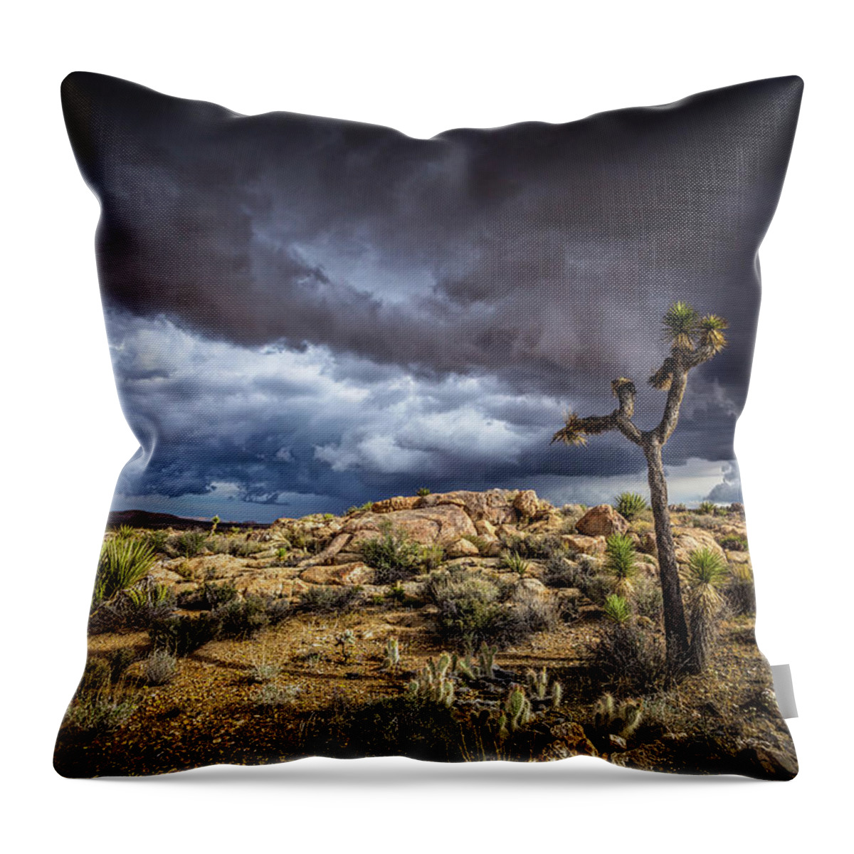 Agave Throw Pillow featuring the photograph Joshua Tree Light by Peter Tellone