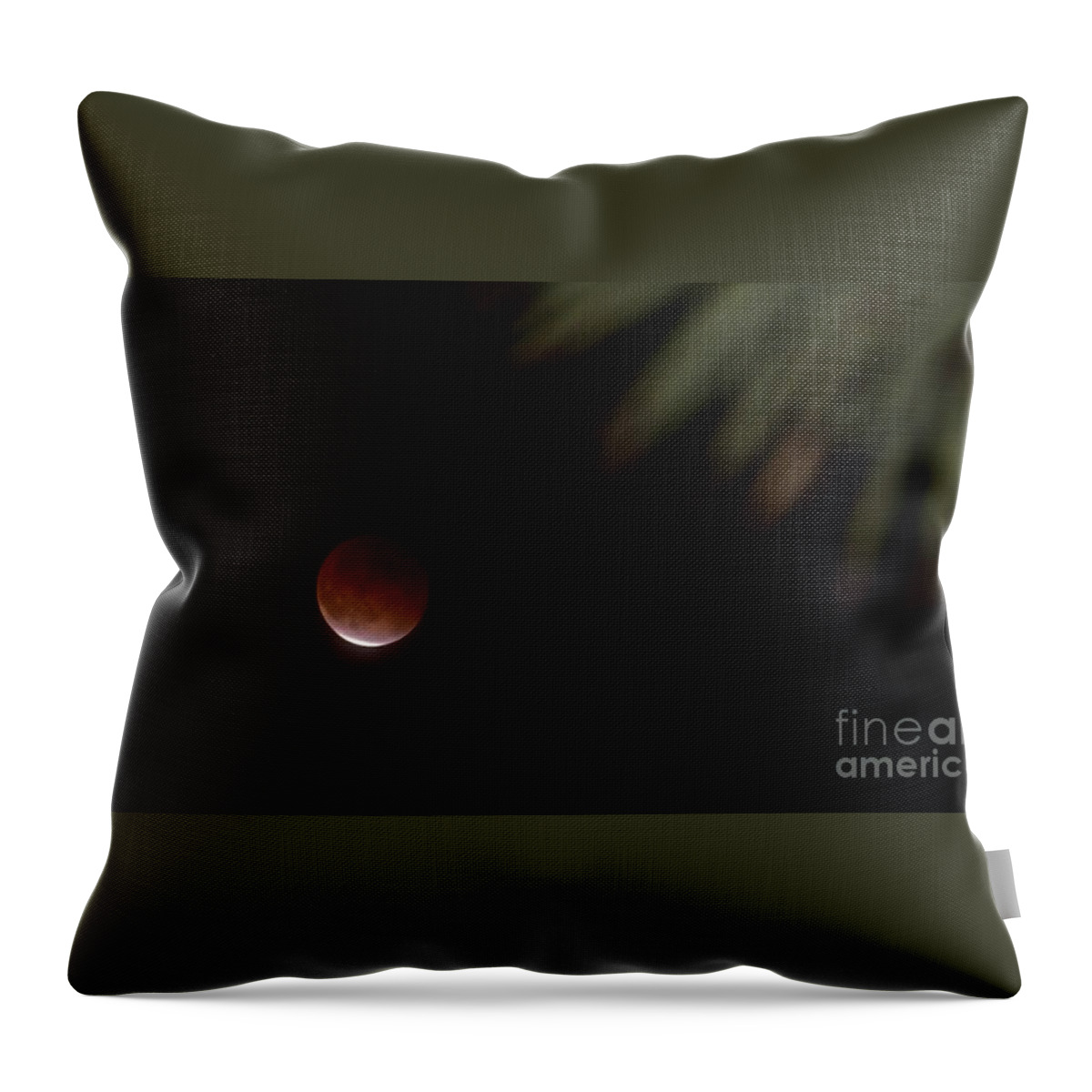Supermoon 2015 Throw Pillow featuring the photograph Joshua View by Angela J Wright