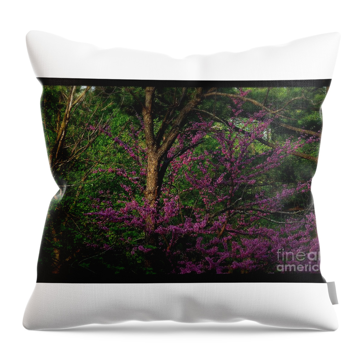 Frank-j-casella Throw Pillow featuring the photograph Judas in the Forest by Frank J Casella