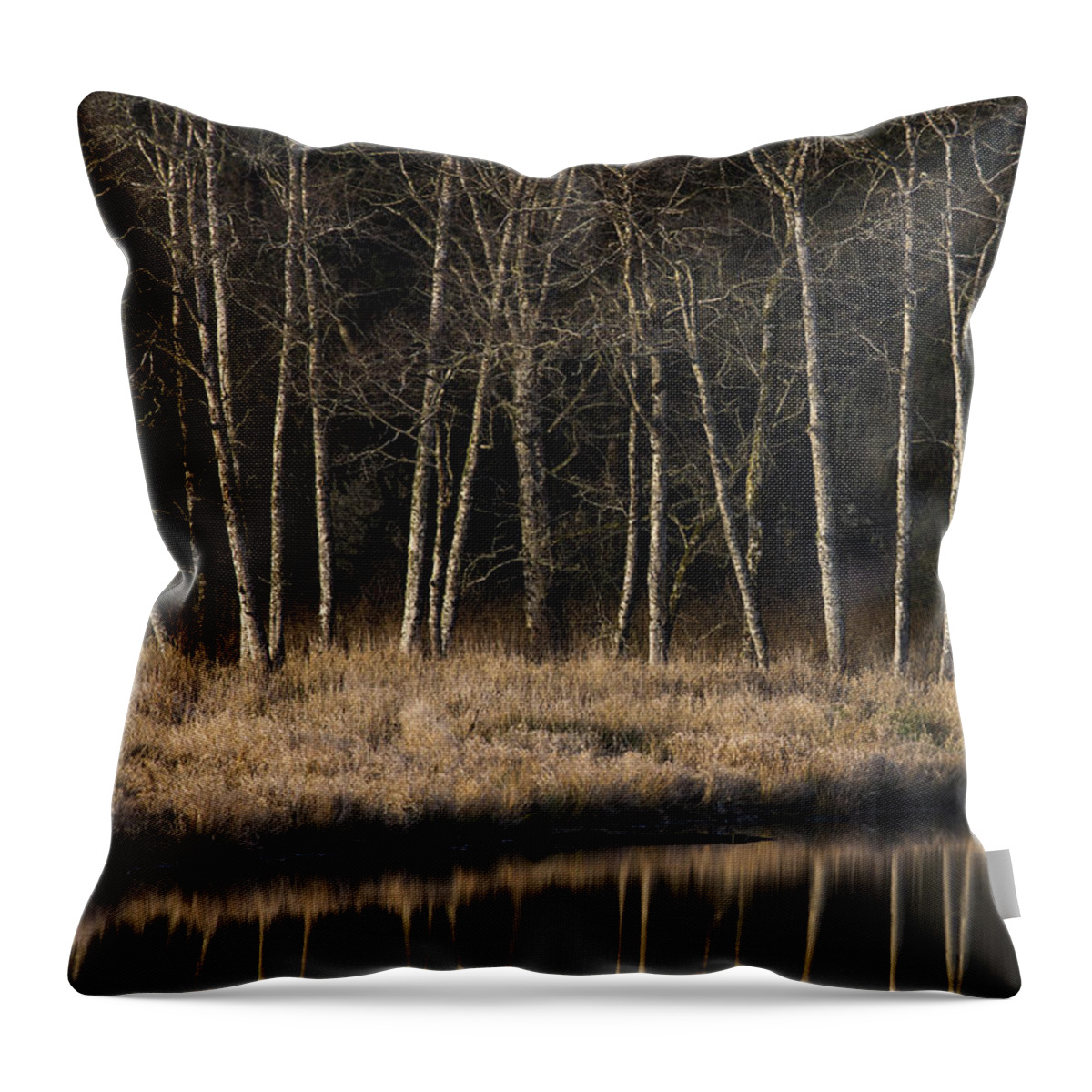 Reflection Throw Pillow featuring the photograph Julia Butler Hansen Refuge for the Columbian White-tailed Deer by Robert Potts