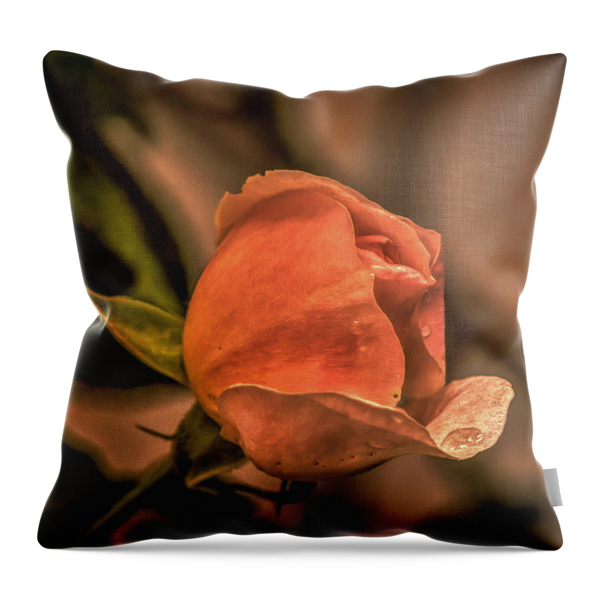 Love Throw Pillow featuring the photograph July 26, 2015 by Leif Sohlman