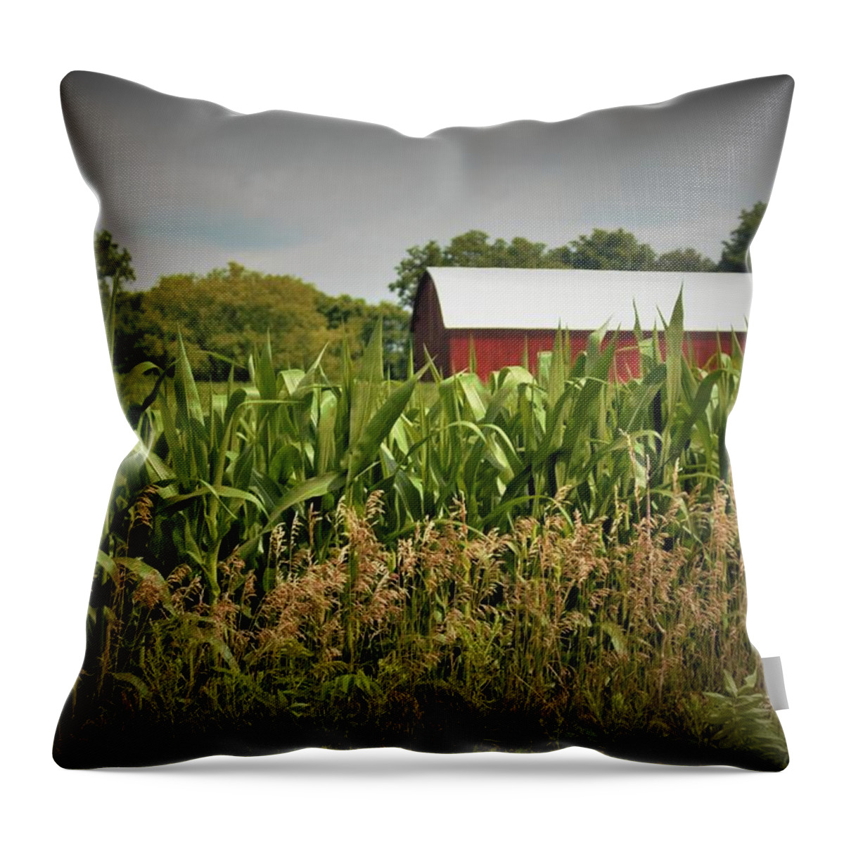 Barn Throw Pillow featuring the photograph 0020 - July Corn by Sheryl L Sutter