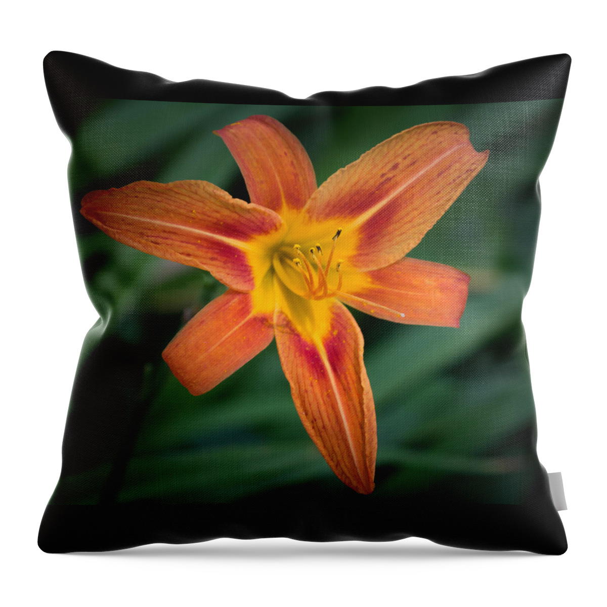 Tiger Lily In Full Bloom Throw Pillow featuring the photograph July Tiger Lily by Kenneth Cole