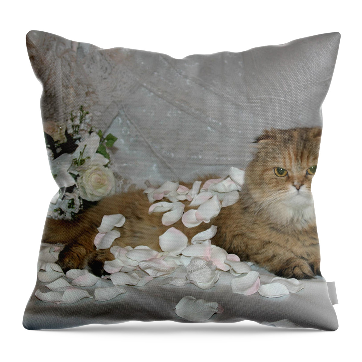 Scottish Fold Throw Pillow featuring the pyrography June 2005 by Robert Morin