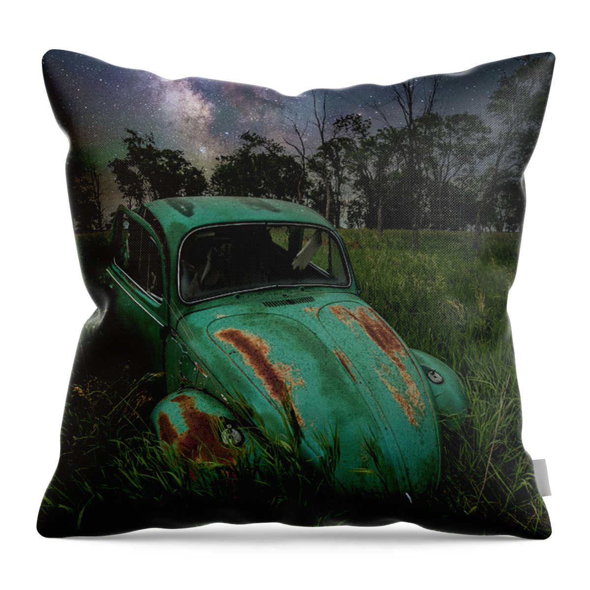 Stardust And Rust Throw Pillow featuring the photograph June Bug by Aaron J Groen