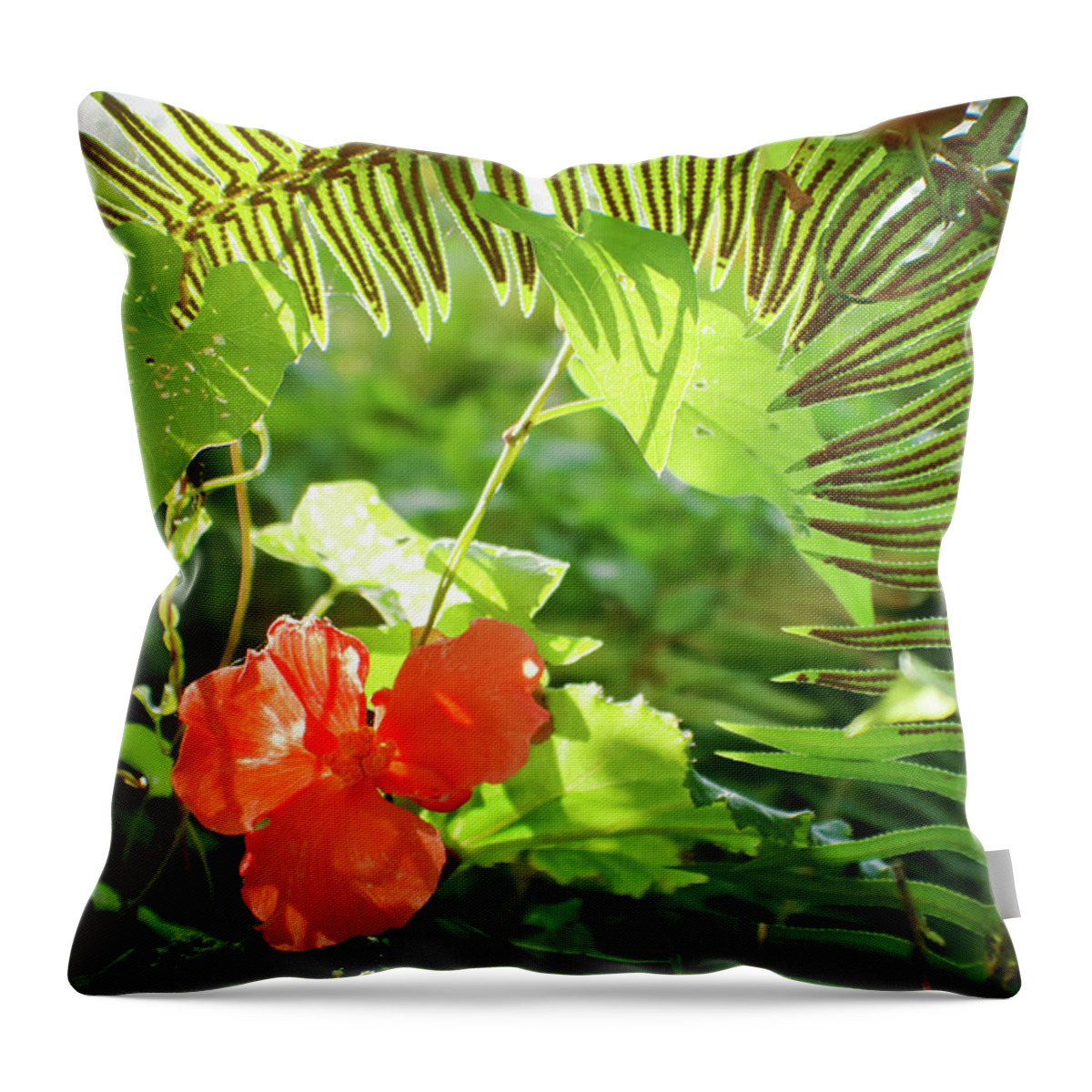 Adria Trail Throw Pillow featuring the photograph Jungle Begonia by Adria Trail