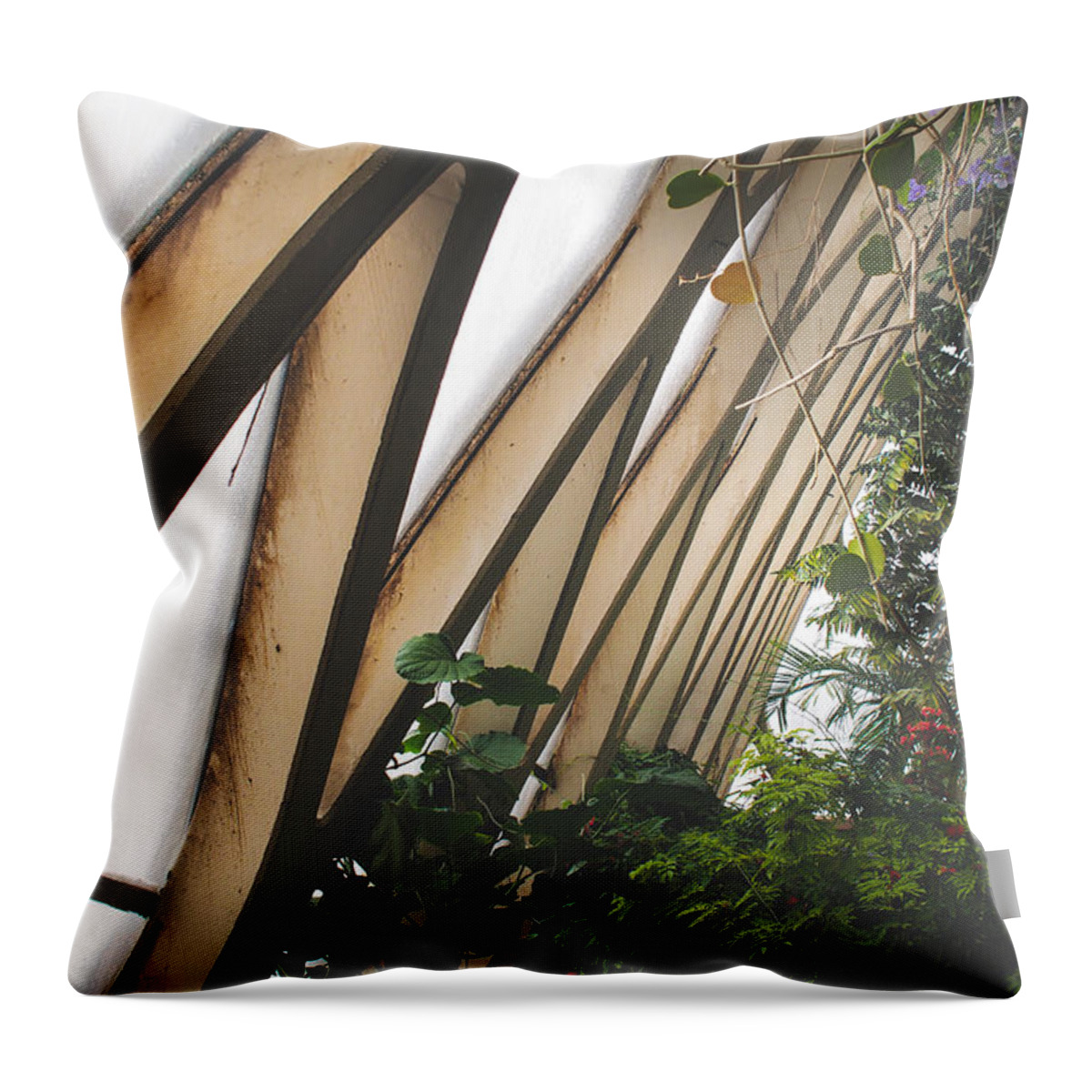 Lines Throw Pillow featuring the photograph Jungle Lines by Alex Leaming