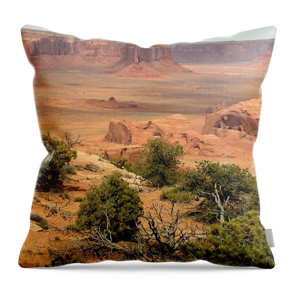 Landscape Throw Pillow featuring the photograph Juniper on the Mesa by Fred Wilson