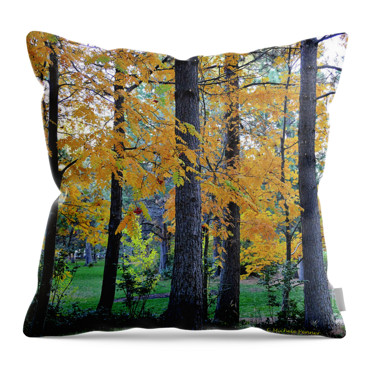Pine Throw Pillow featuring the photograph Mountain Ash Under Pine by Michele Penner