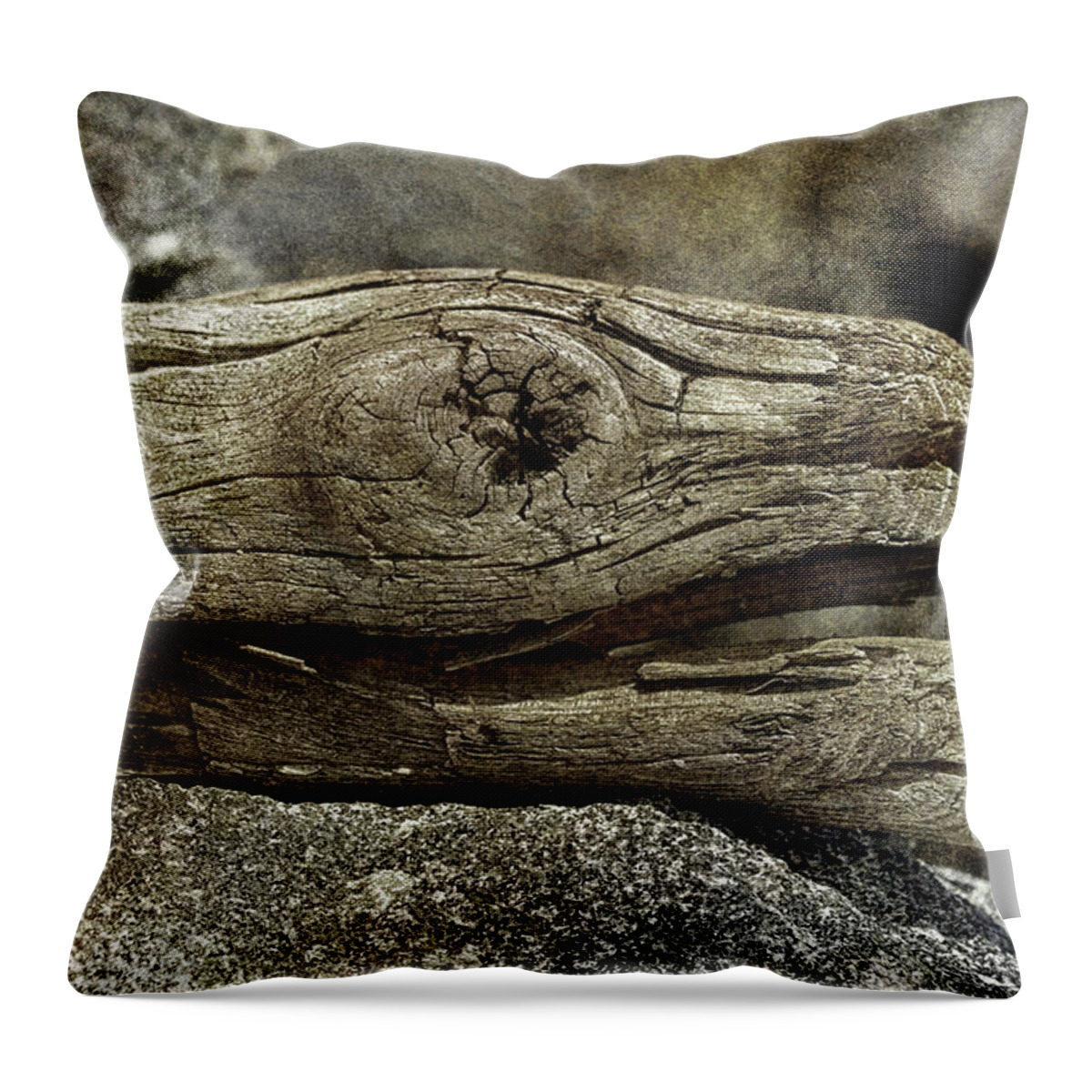 Driftwood Throw Pillow featuring the photograph Jurassic Driftwood by WB Johnston