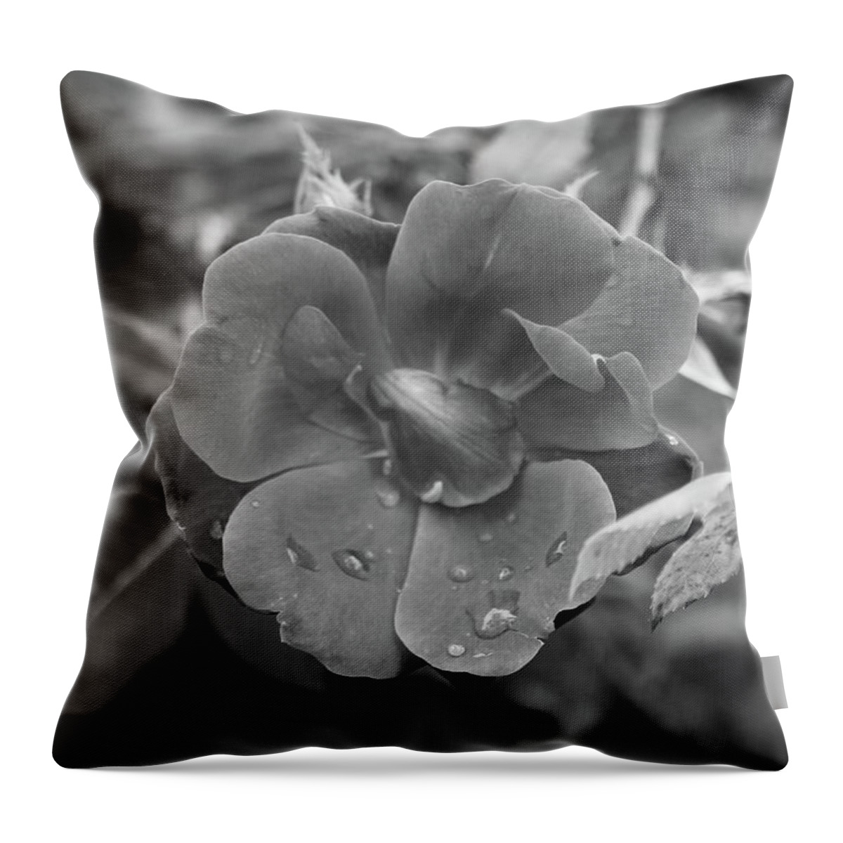 Photo For Sale Throw Pillow featuring the photograph Just a few Drops by Robert Wilder Jr