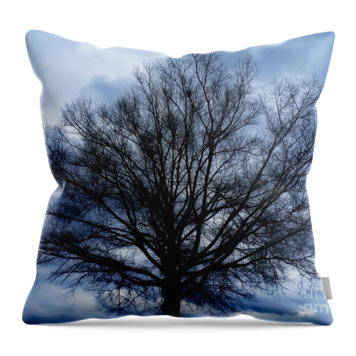 Tree Throw Pillow featuring the photograph Just a Gray Blue Day by Sue Melvin