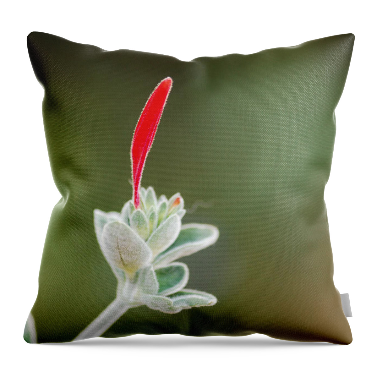 Floral Throw Pillow featuring the photograph Just A Moment by Donna Blackhall