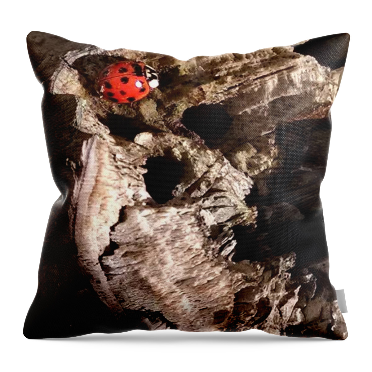 Ladybug Throw Pillow featuring the photograph Just A Place To Rest by Allen Nice-Webb