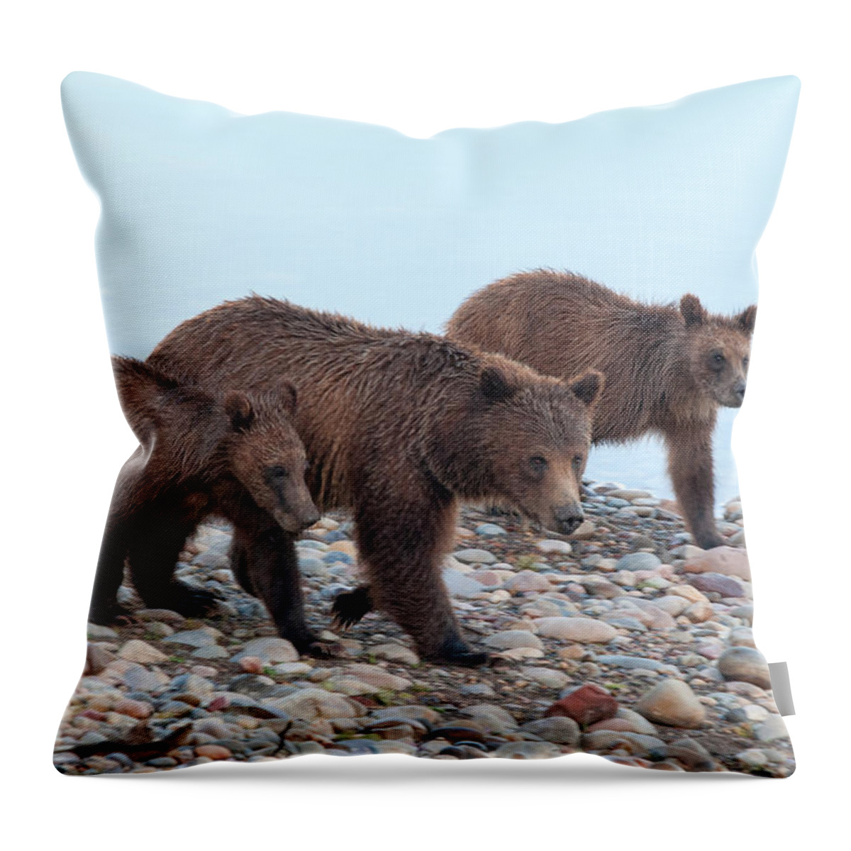 Yellowstone Throw Pillow featuring the photograph Just a Walk on the Beach by Steve Stuller