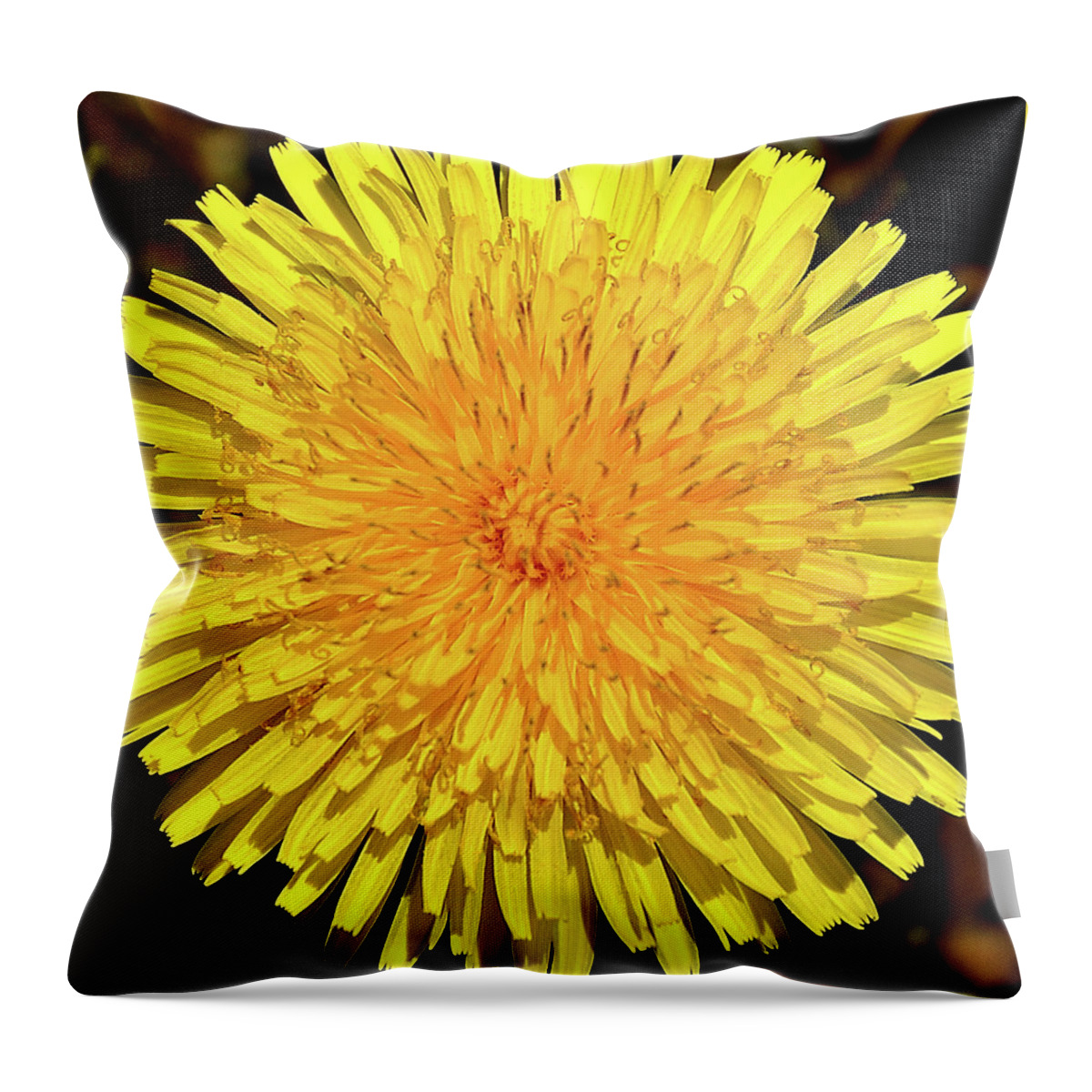 Dandelion Throw Pillow featuring the photograph Just A Weed by Mark Fuller