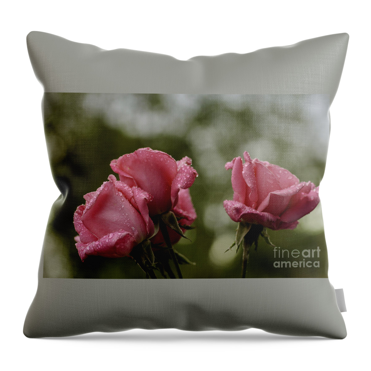 Oregon Throw Pillow featuring the photograph Just After Rain by Nick Boren