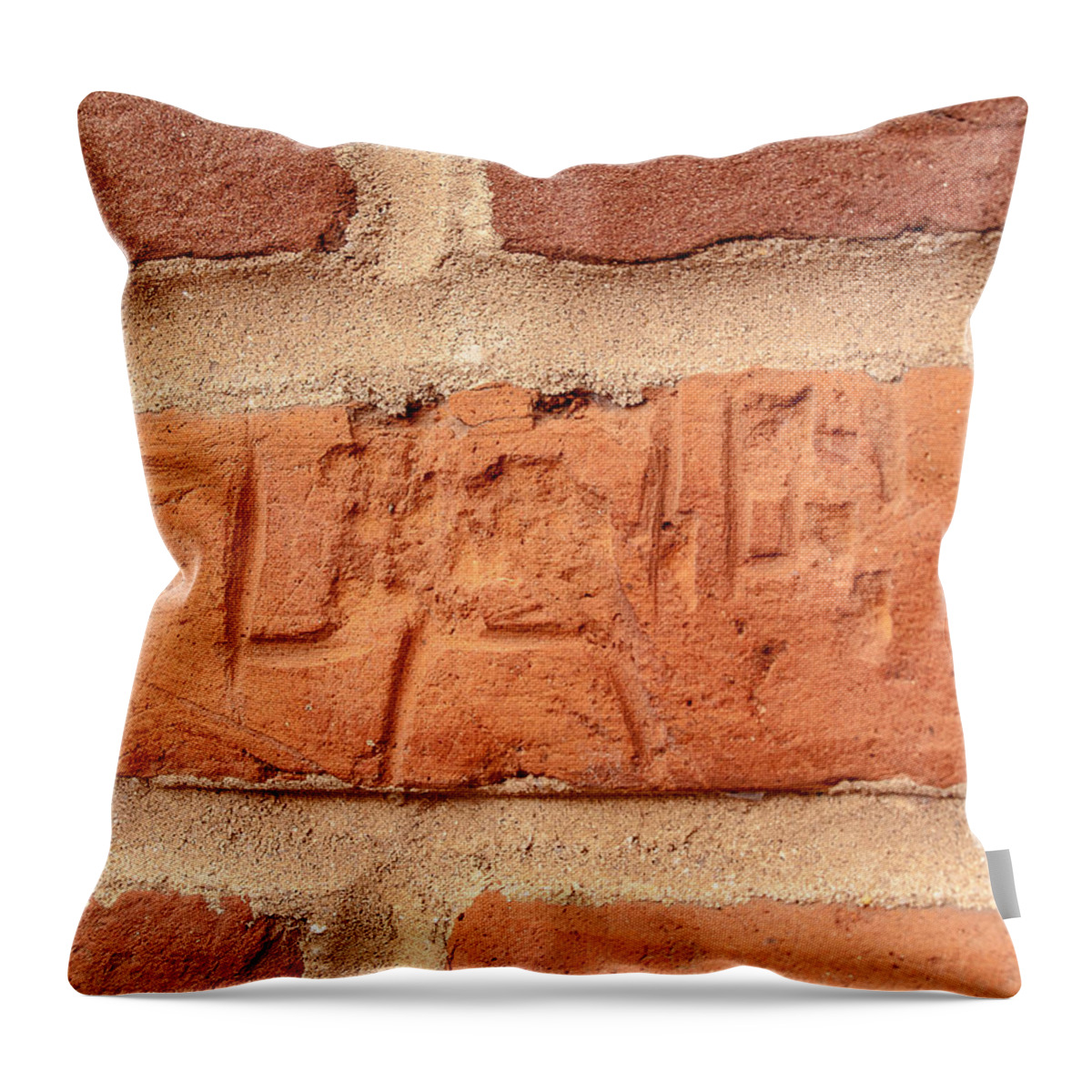 Sc State Hospital Throw Pillow featuring the photograph Just Another Brick in the Wall by Charles Hite