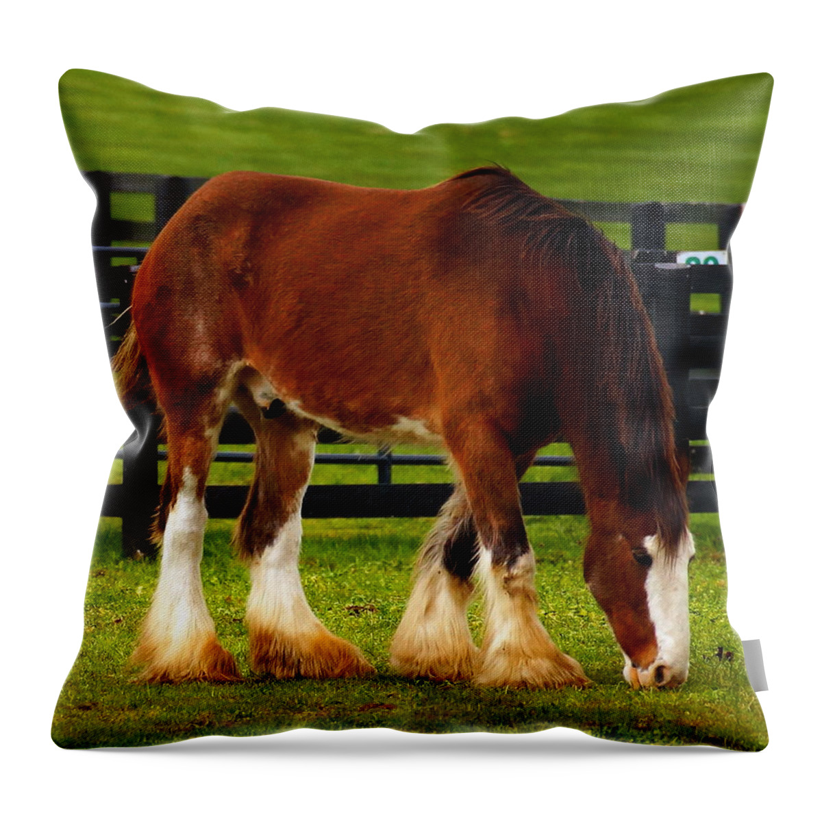 Horses Throw Pillow featuring the photograph Just Another Day by Beth Collins