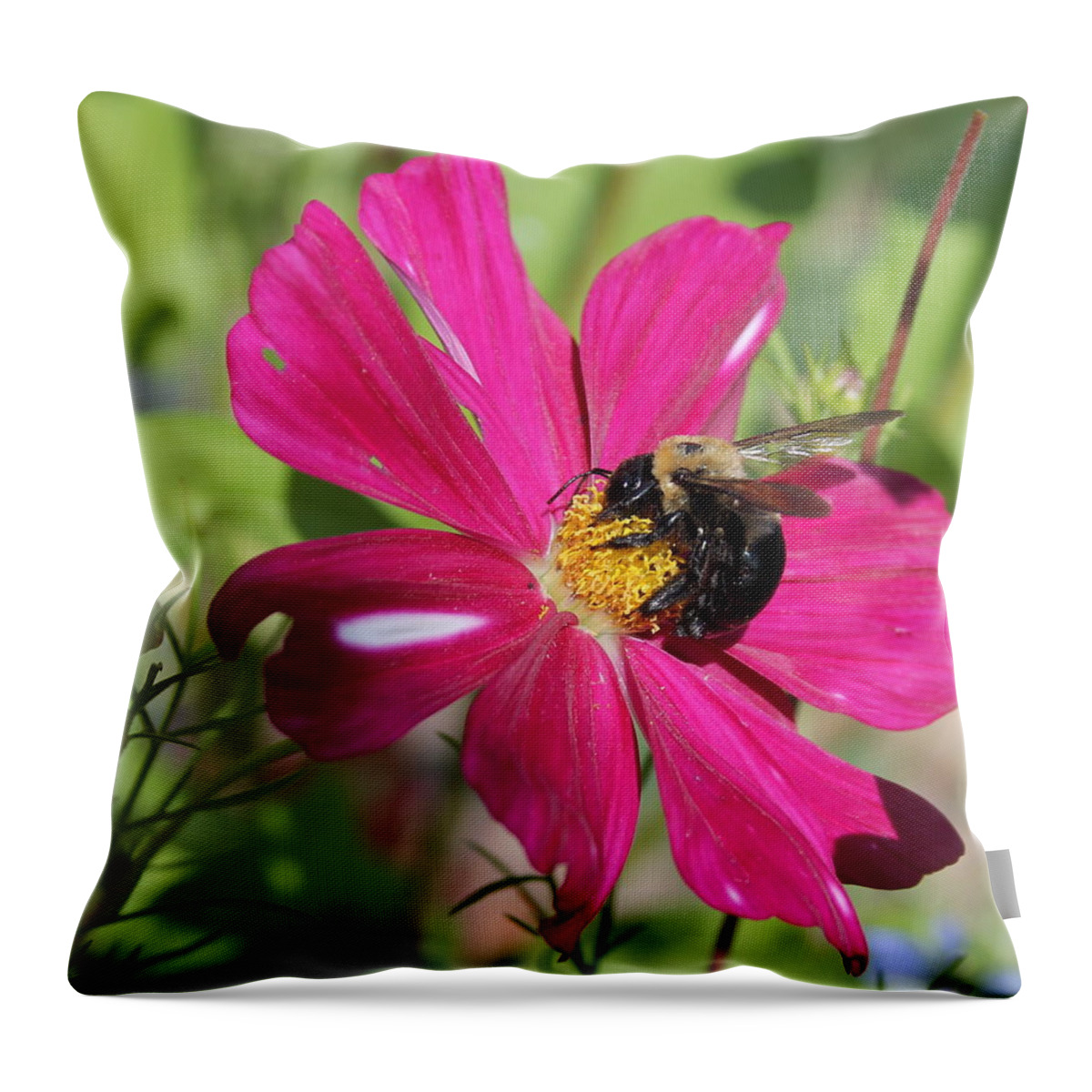 Bee Throw Pillow featuring the photograph Just Bee-ing by Floral Notes By D