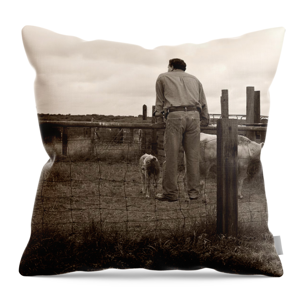Americana Throw Pillow featuring the photograph Just Checking on Things by Marilyn Hunt