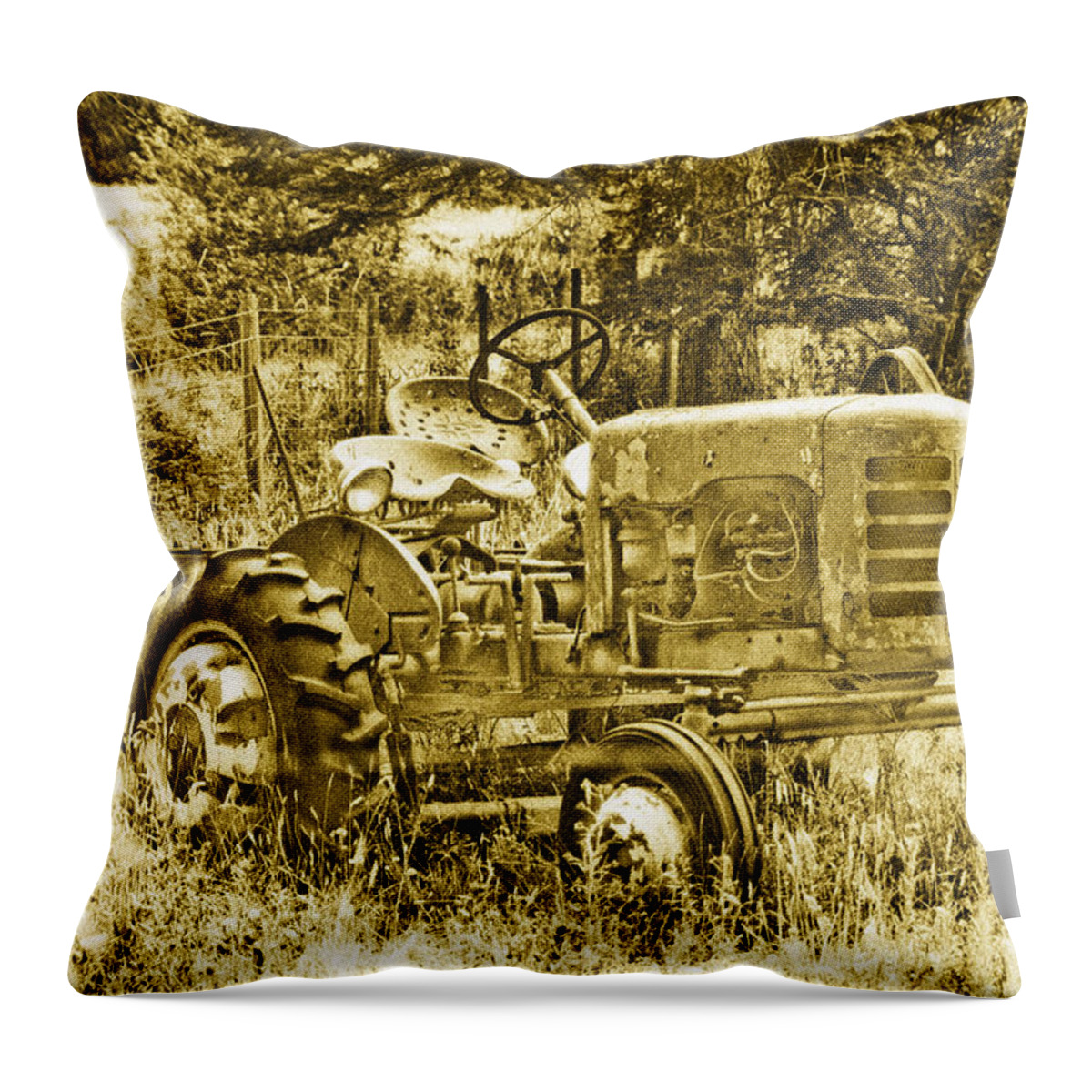 Vintage Throw Pillow featuring the photograph Just for Lookin' at... Now by Linda McRae